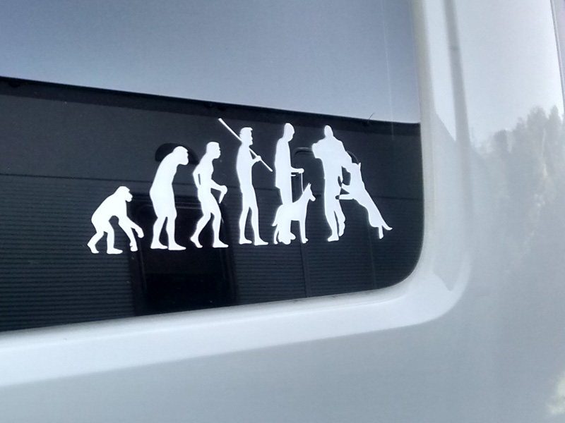 В честь любимых овчарок - наклейка на автомобиль.