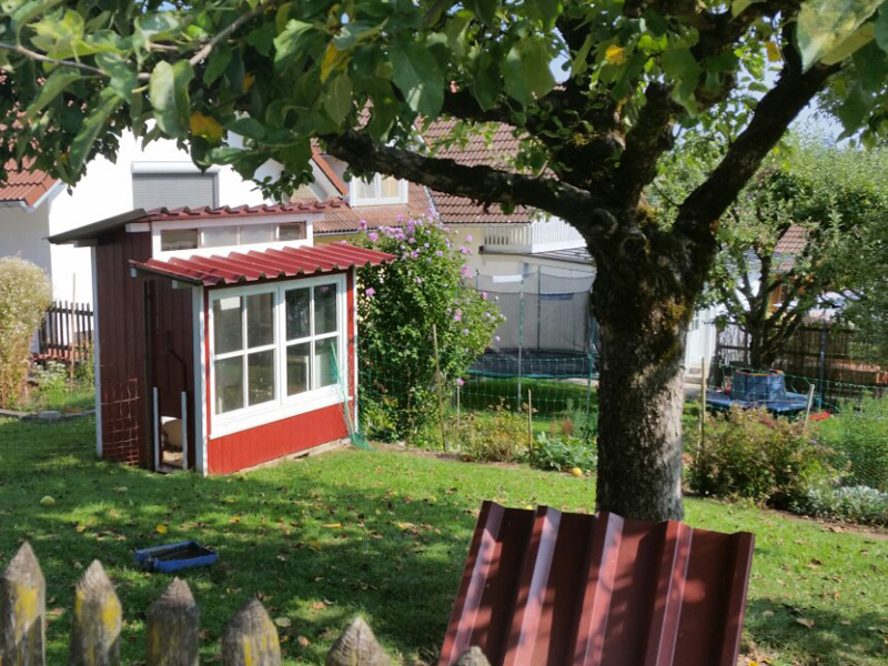 Ещё один курятник с панорамными окнами.