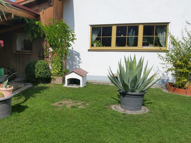 Угадаете, для кого построили эту душевную будку?